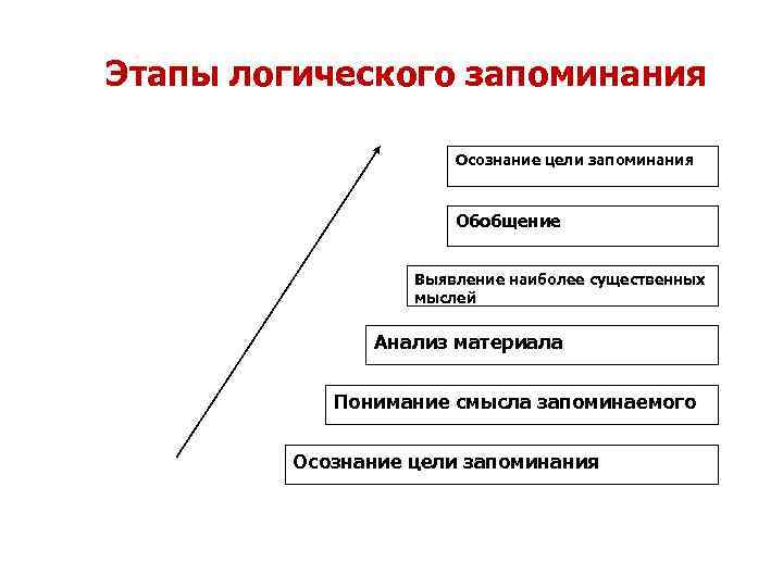 Этапы логического запоминания Осознание цели запоминания Обобщение Выявление наиболее существенных мыслей Анализ материала Понимание