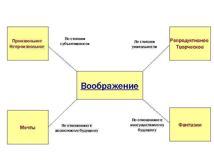 Произвольное Непроизвольное По степени субъективности По степени уникальности Репродуктивное Творческое Воображение Мечты По отношению