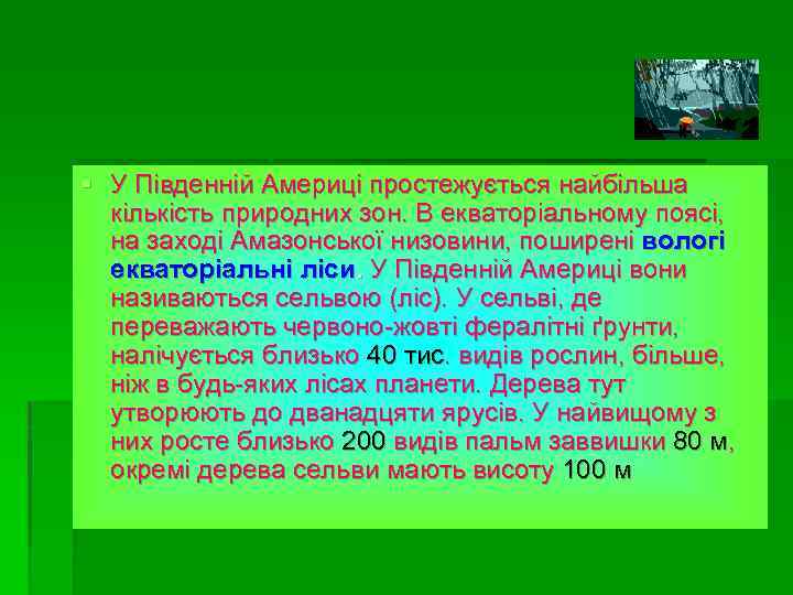 § У Південній Америці простежується найбільша кількість природних зон. В екваторіальному поясі, на заході