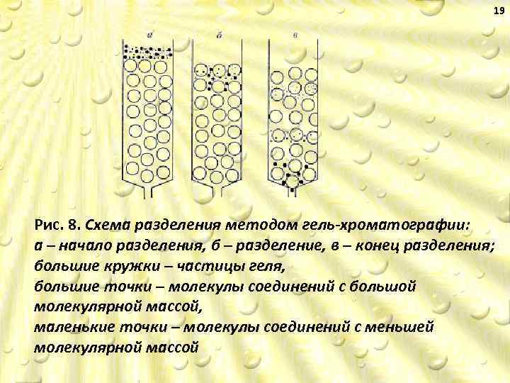 19 Рис. 8. Схема разделения методом гель-хроматографии: а – начало разделения, б – разделение,