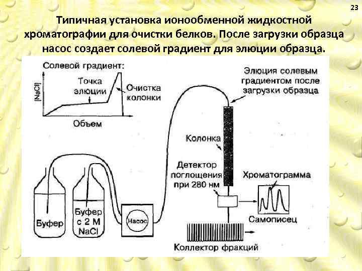 Типичная установка ионообменной жидкостной хроматографии для очистки белков. После загрузки образца насос создает солевой