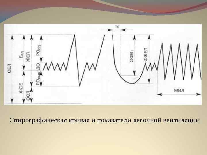 Спирографическая кривая и показатели легочной вентиляции 