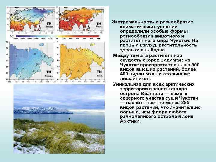 Презентация чукотка 8 класс