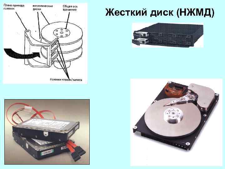 Жесткий диск (НЖМД) 