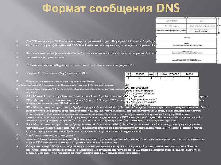 Формат сообщения DNS Для DNS запроса и для DNS отклика используется одинаковый формат. На