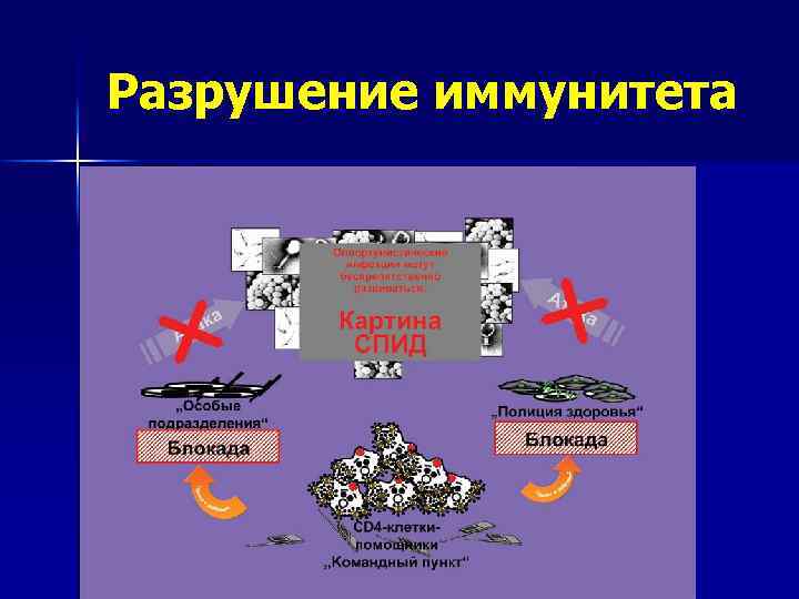 Разрушение иммунитета 