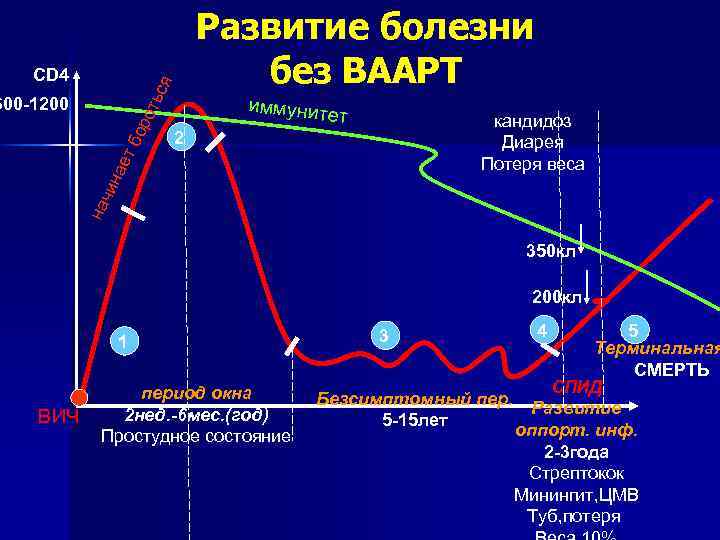 ор оть ся CD 4 иммуните т кандидоз Диарея Потеря веса 2 на чин