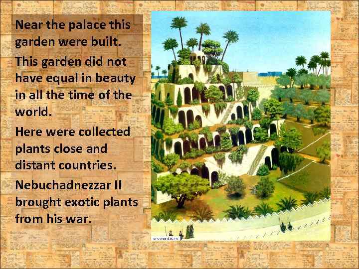 Near the palace this garden were built. This garden did not have equal in