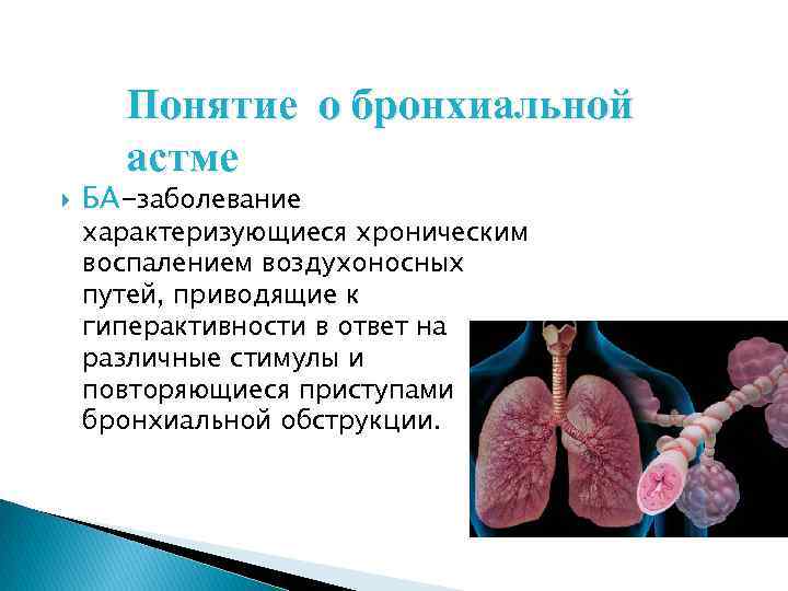 Понятие о бронхиальной астме БА-заболевание характеризующиеся хроническим воспалением воздухоносных путей, приводящие к гиперактивности в