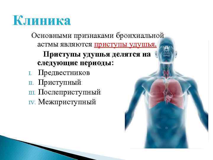 Клиника Основными признаками бронхиальной астмы являются приступы удушья. Приступы удушья делятся на следующие периоды: