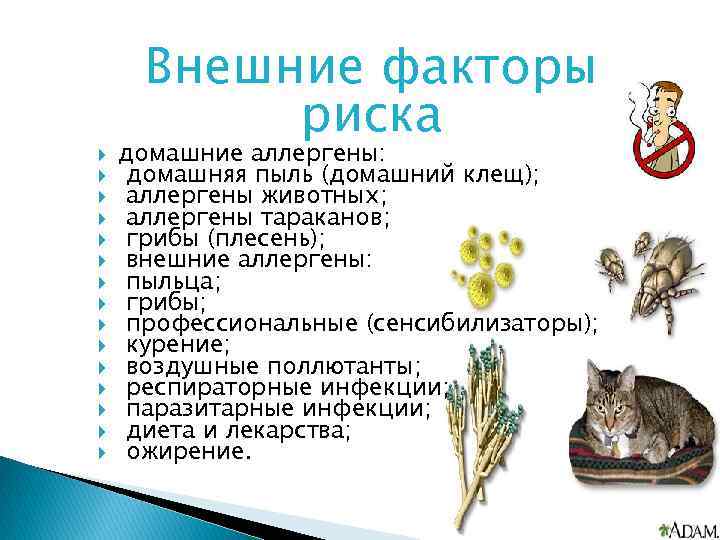  Внешние факторы риска домашние аллергены: домашняя пыль (домашний клещ); аллергены животных; аллергены тараканов;