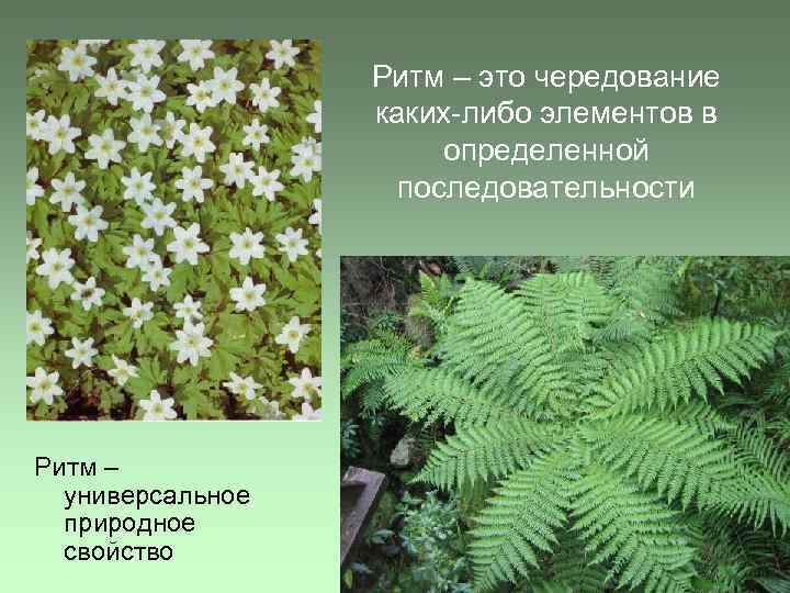 Ритм – это чередование каких-либо элементов в определенной последовательности Ритм – универсальное природное свойство