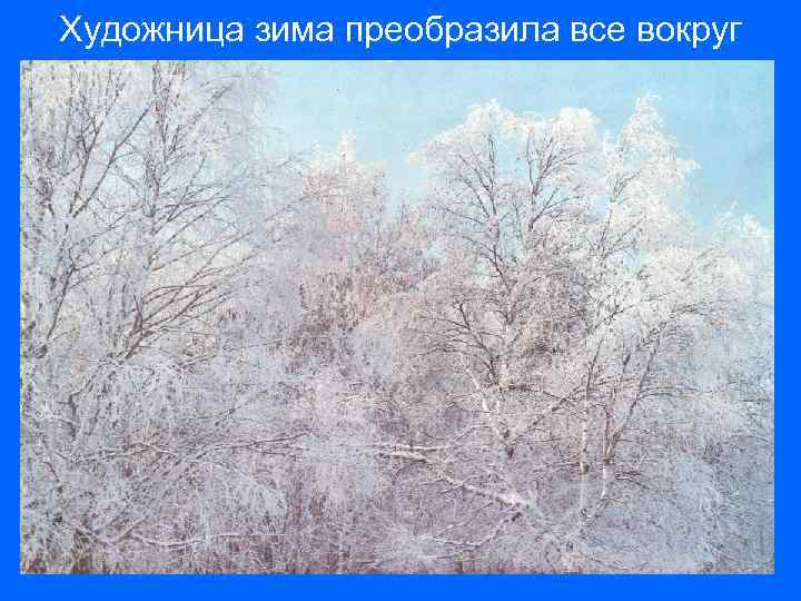 Художница зима преобразила все вокруг 