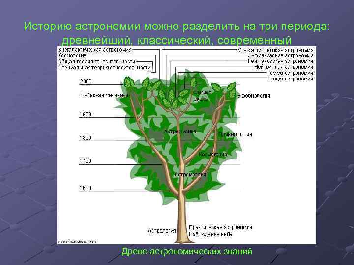 Историю астрономии можно разделить на три периода: древнейший, классический, современный Древо астрономических знаний 