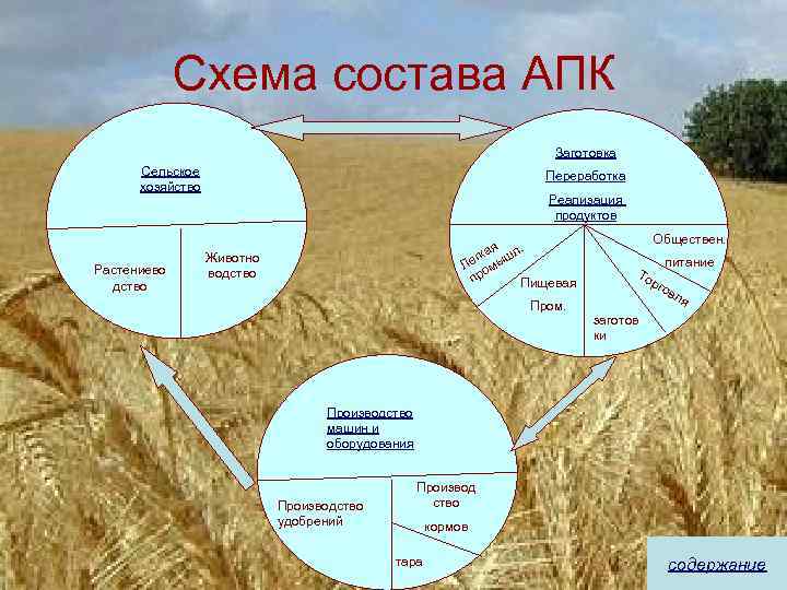 Cхема состава АПК Заготовка Сельское хозяйство Растениево дство Переработка Реализация продуктов ая л. егк