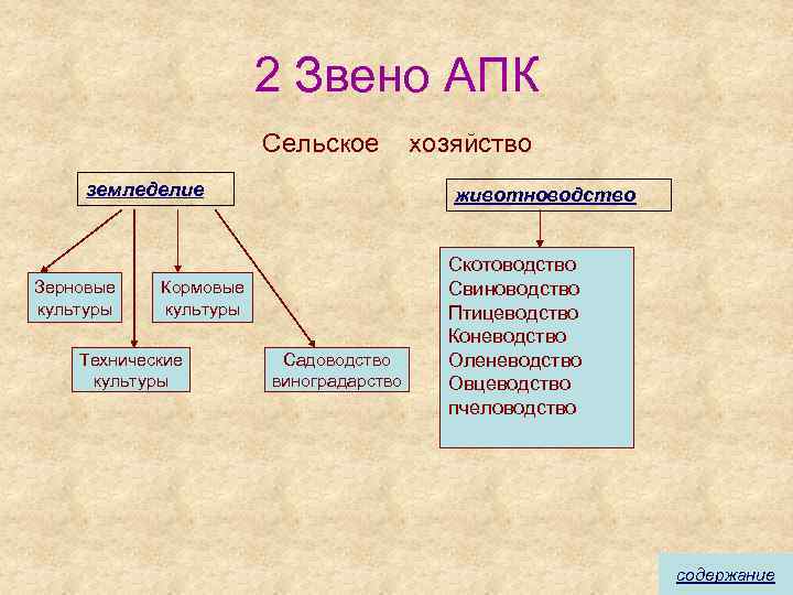 2 Звено АПК Сельское земледелие Зерновые культуры животноводство Кормовые культуры Технические культуры хозяйство Садоводство