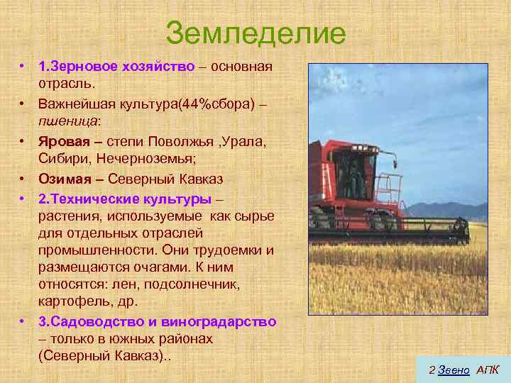 Земледелие • 1. Зерновое хозяйство – основная отрасль. • Важнейшая культура(44%сбора) – пшеница: •