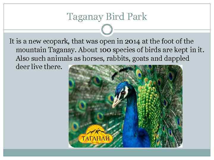 Taganay Bird Park It is a new ecopark, that was open in 2014 at