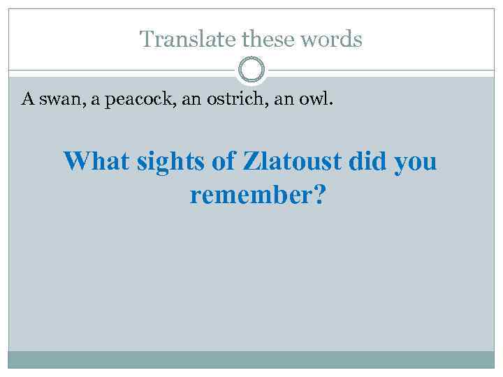 Translate these words A swan, a peacock, an ostrich, an owl. What sights of