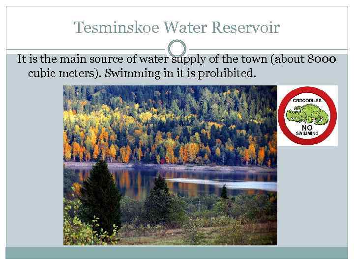 Tesminskoe Water Reservoir It is the main source of water supply of the town