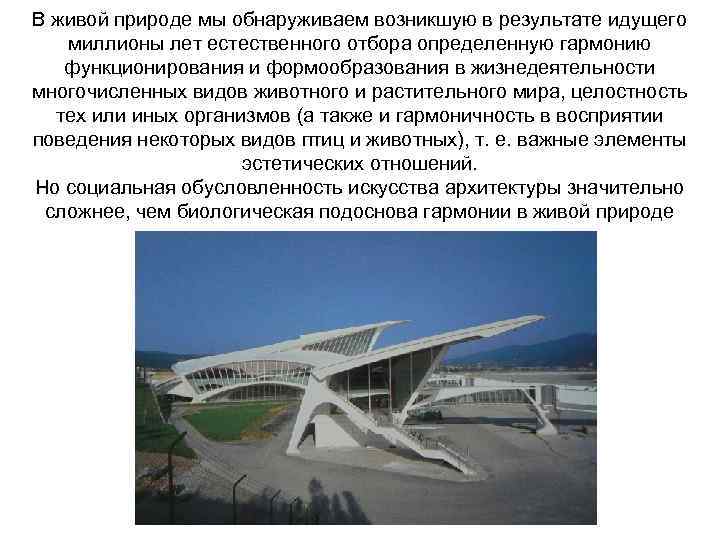 В живой природе мы обнаруживаем возникшую в результате идущего миллионы лет естественного отбора определенную