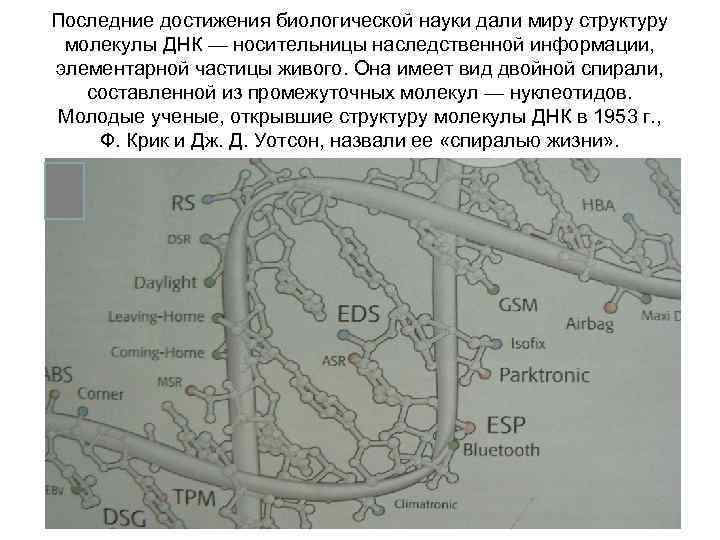 Последние достижения биологической науки дали миру структуру молекулы ДНК — носительницы наследственной информации, элементарной