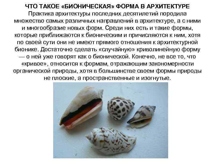 ЧТО ТАКОЕ «БИОНИЧЕСКАЯ» ФОРМА В АРХИТЕКТУРЕ Практика архитектуры последних десятилетий породила множество самых различных