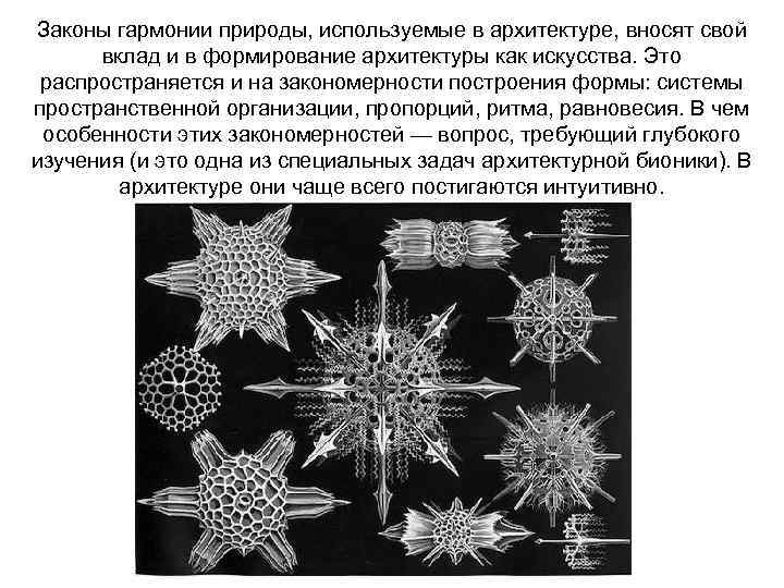 Законы гармонии природы, используемые в архитектуре, вносят свой вклад и в формирование архитектуры как
