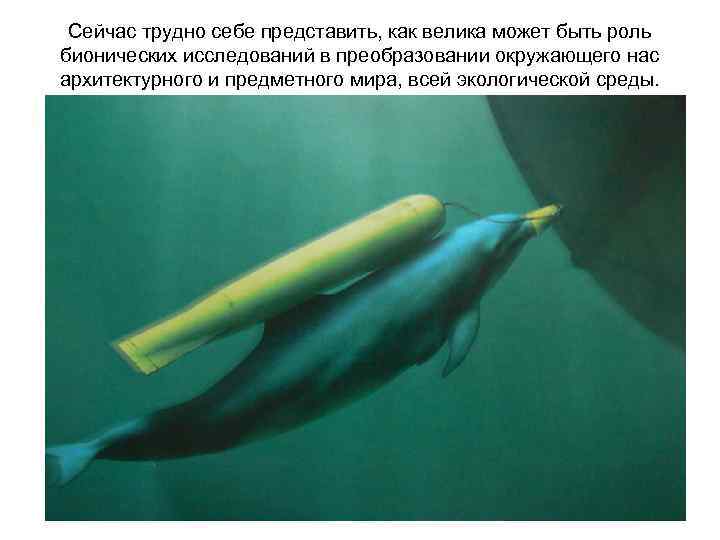 Сейчас трудно себе представить, как велика может быть роль бионических исследований в преобразовании окружающего