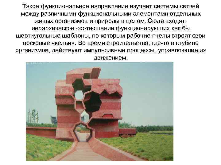 Такое функциональное направление изучает системы связей между различными функциональными элементами отдельных живых организмов и