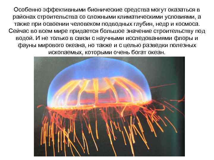 Особенно эффективными бионические средства могут оказаться в районах строительства со сложными климатическими условиями, а