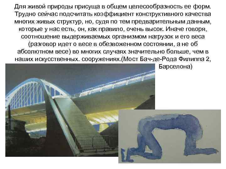 Для живой природы присуща в общем целесообразность ее форм. Трудно сейчас подсчитать коэффициент конструктивного