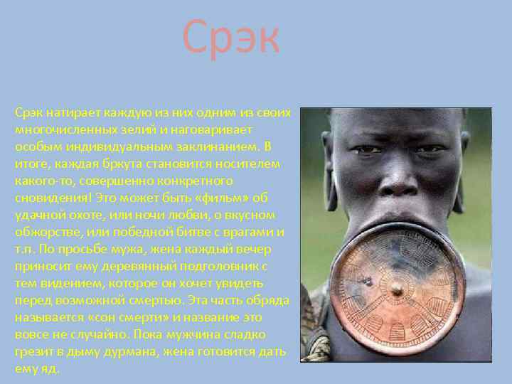 Срэк натирает каждую из них одним из своих многочисленных зелий и наговаривает особым индивидуальным