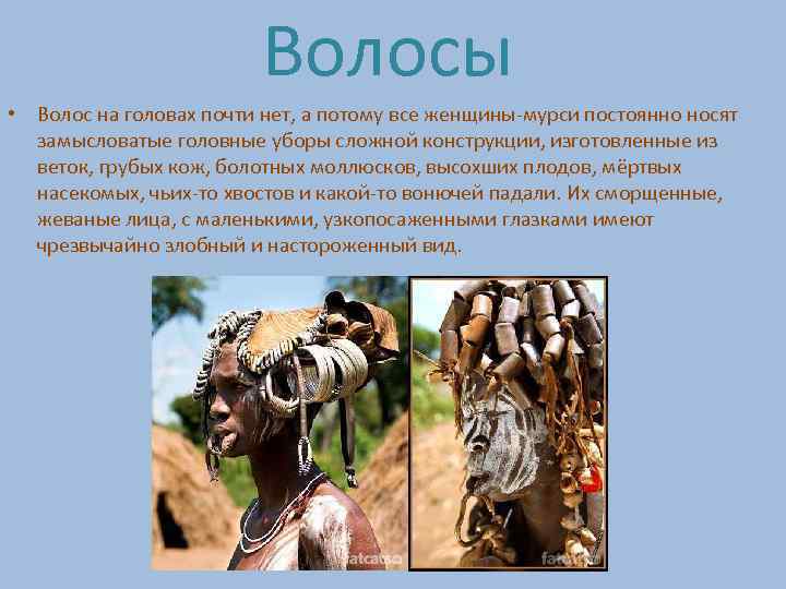 Волосы • Волос на головах почти нет, а потому все женщины-мурси постоянно носят замысловатые