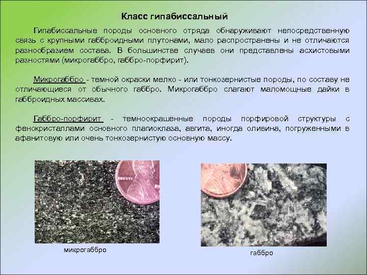 Класс гипабиссальный Гипабиссальные породы основного отряда обнаруживают непосредственную связь с крупными габброидными плутонами, мало
