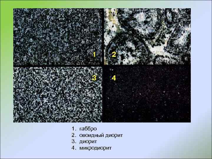 1. 2. 3. 4. габбро овоидный диорит микродиорит 