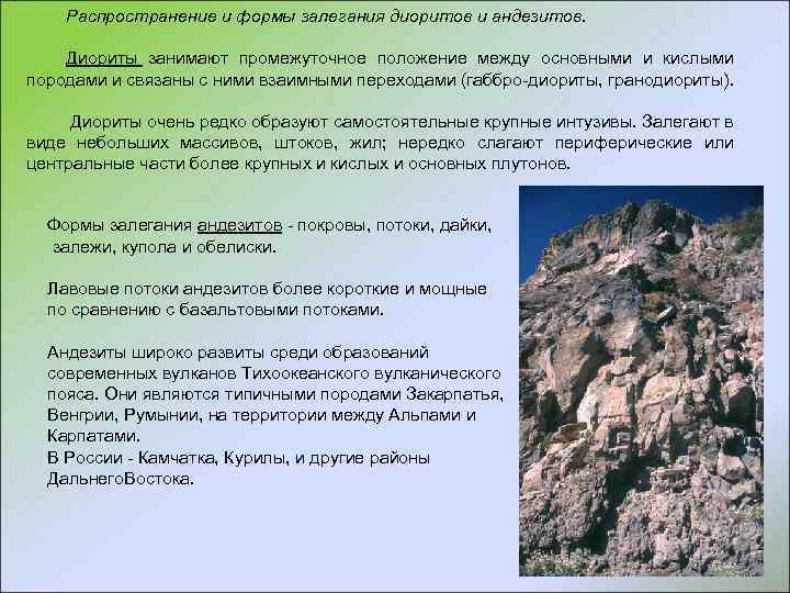 Распространение и формы залегания диоритов и андезитов. Диориты занимают промежуточное положение между основными и