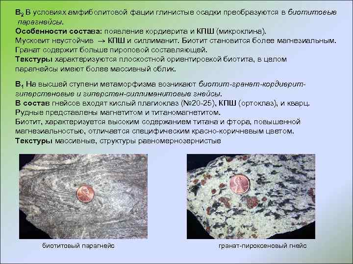 В 2 В условиях амфиболитовой фации глинистые осадки преобразуются в биотитовые парагнейсы. Особенности состава: