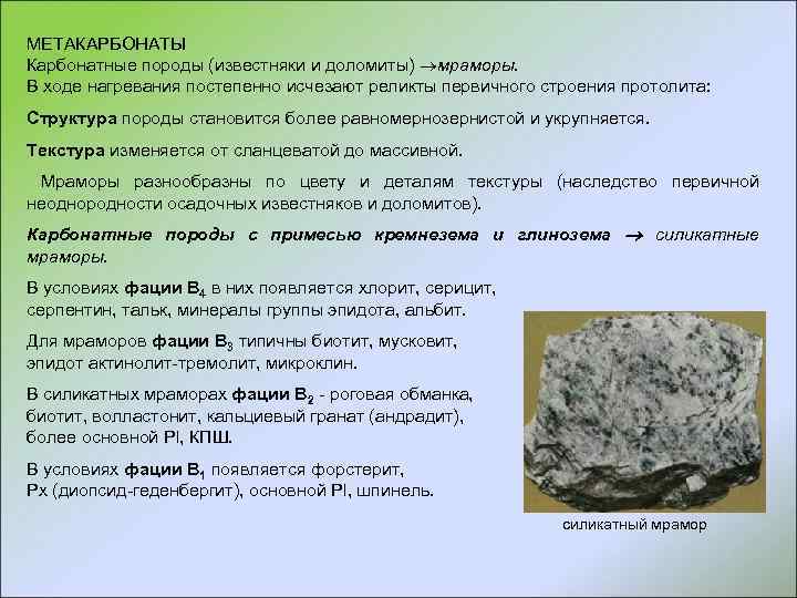 Карбонатные породы известняки и Доломиты. Карбонатные горные породы. Известняк структура и текстура. Структуры карбонатных пород.