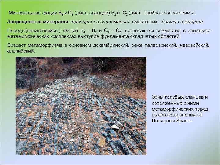  Минеральные фации В 3 и С 3 (дист. сланцев) В 2 и С