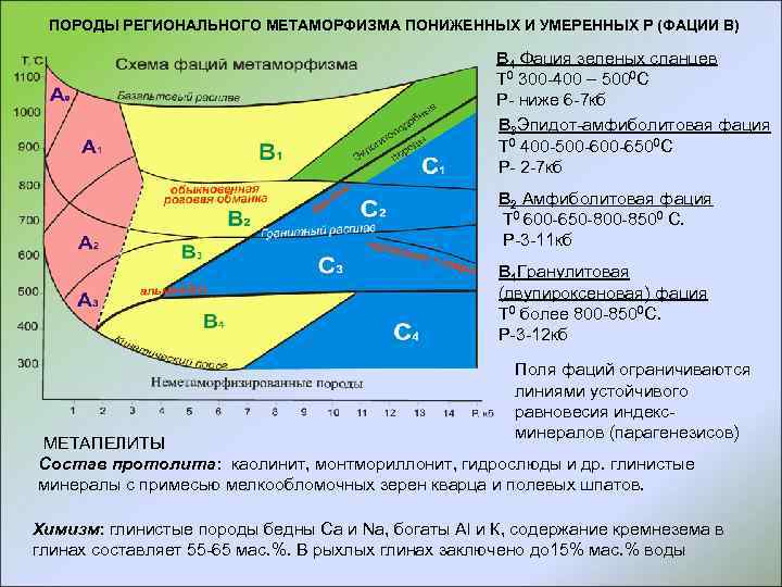 ПОРОДЫ РЕГИОНАЛЬНОГО МЕТАМОРФИЗМА ПОНИЖЕННЫХ И УМЕРЕННЫХ Р (ФАЦИИ В) В 4 Фация зеленых сланцев