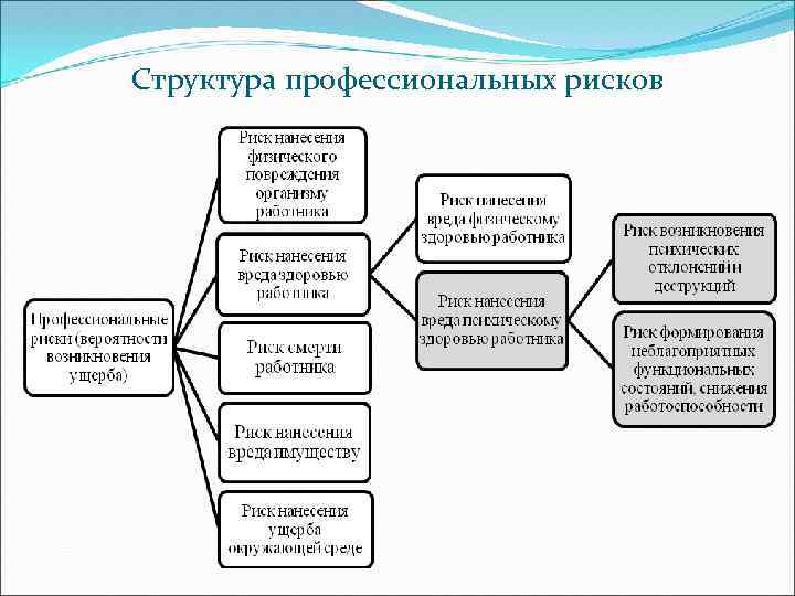 Виды профессионального риска. Структура профессионального риска. Профессиональные риски структура. Структура профессионального риска схема. Структурные риски.