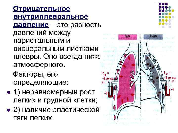 Схема этапы дыхания