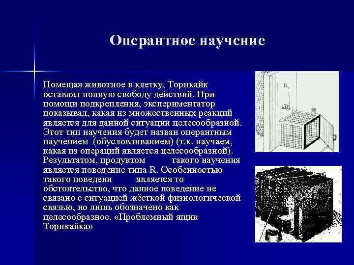 Оперантное научение Помещая животное в клетку, Торнкайк оставлял полную свободу действий. При помощи подкрепления,
