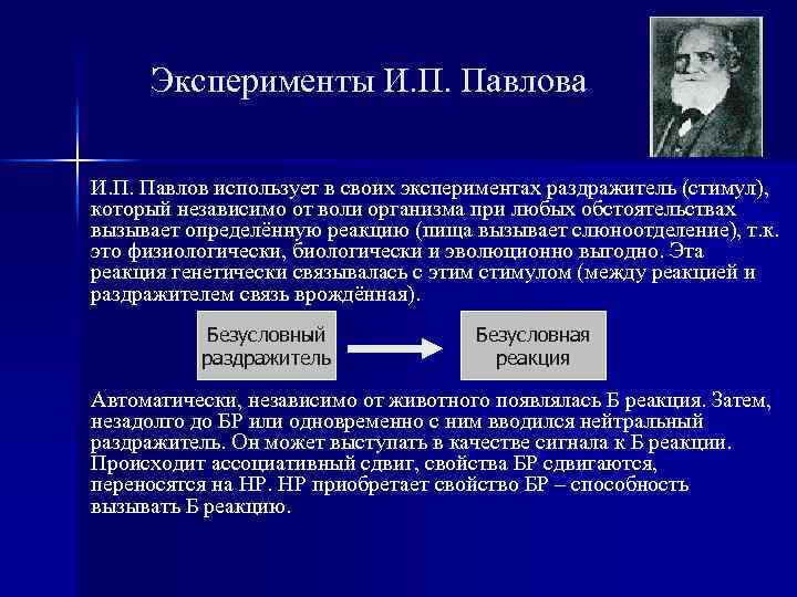 Эксперименты И. П. Павлова И. П. Павлов использует в своих экспериментах раздражитель (стимул), который