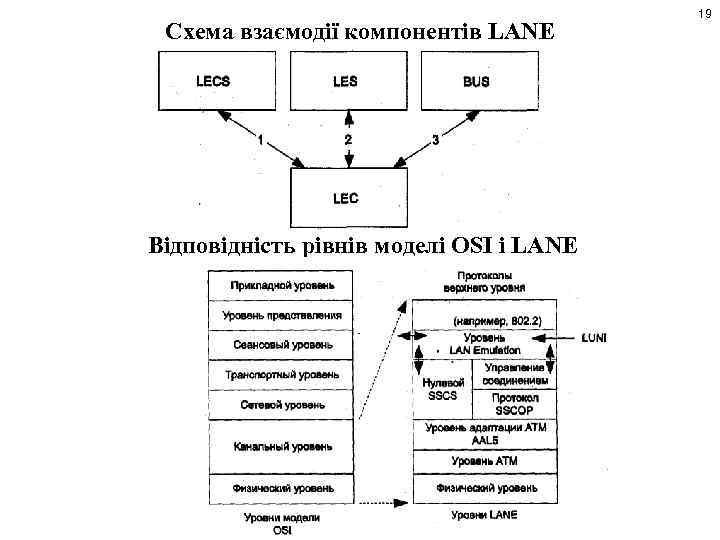 Схема взаємодії компонентів LANE Відповідність рівнів моделі OSI і LANE 19 