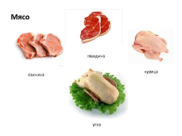 Мясо говядина курица свинина утка 