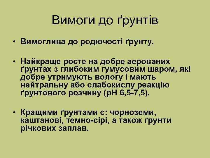 Вимоги до ґрунтів • Вимоглива до родючості ґрунту. • Найкраще росте на добре аерованих