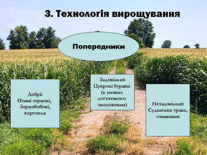 3. Технологія вирощування Попередники Добрі: Озимі зернові, Зернобобові, картопля Задовільні: Цукрові буряки (в умовах