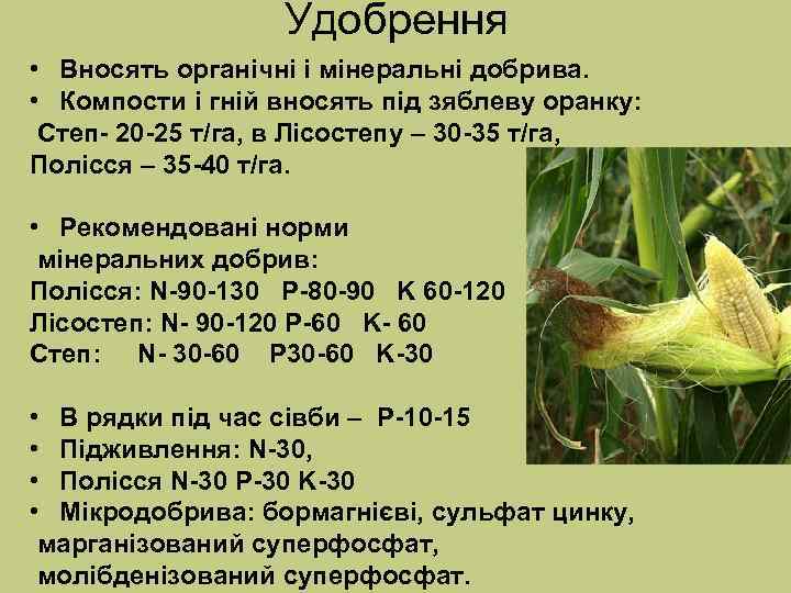 Удобрення • Вносять органічні і мінеральні добрива. • Компости і гній вносять під зяблеву